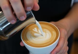 Experienced barista demonstrating latte art technique during a training session