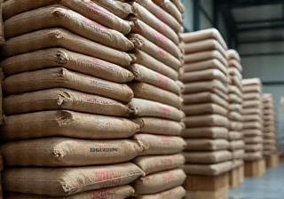 Bags of freshly roasted coffee beans stacked neatly in a warehouse